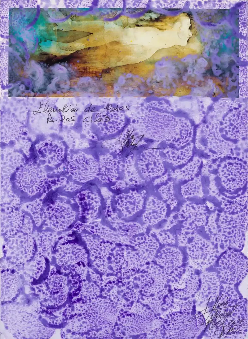 Lámina 20 ‘Elevación de Jesús a los Cielos’